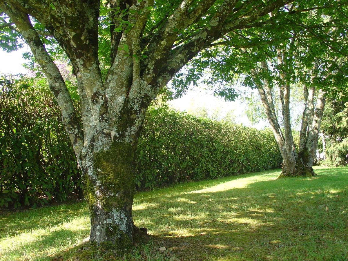 Chambre d'hôtes Bellevue Bressuire Exterior foto